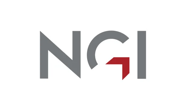 NGI logo